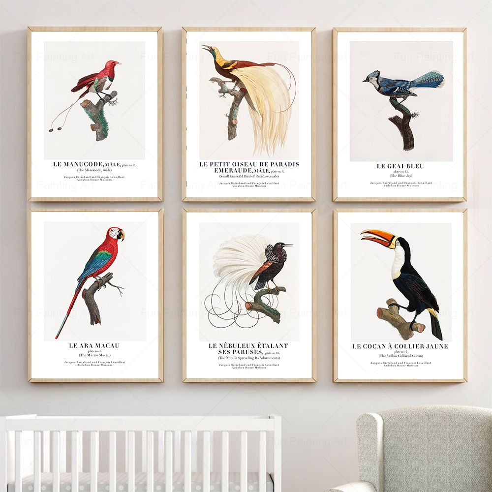 Furniture Paradise & Hardware Ghaziabad - Toile d'art mural Vintage oiseau paradis,
